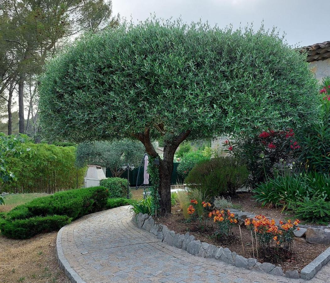 Gite Les Pins Climatise Piscine Chauffee Jardin Peymeinade Εξωτερικό φωτογραφία